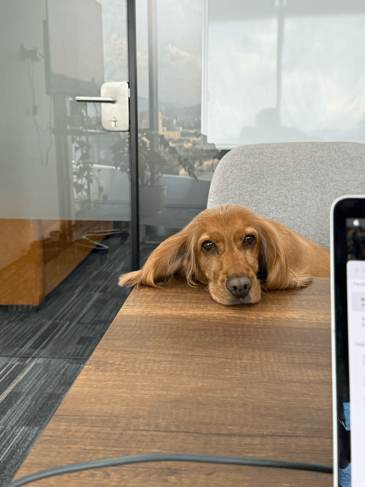 Office image 4